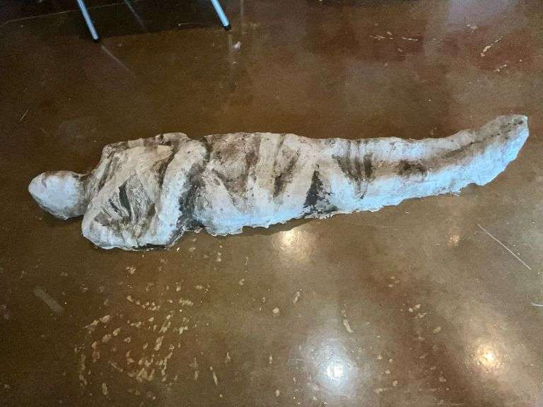 Mummy image
