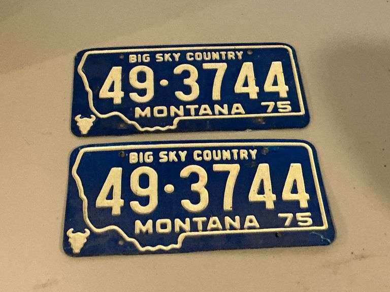 Pair of matching Montana 1975 license plate image