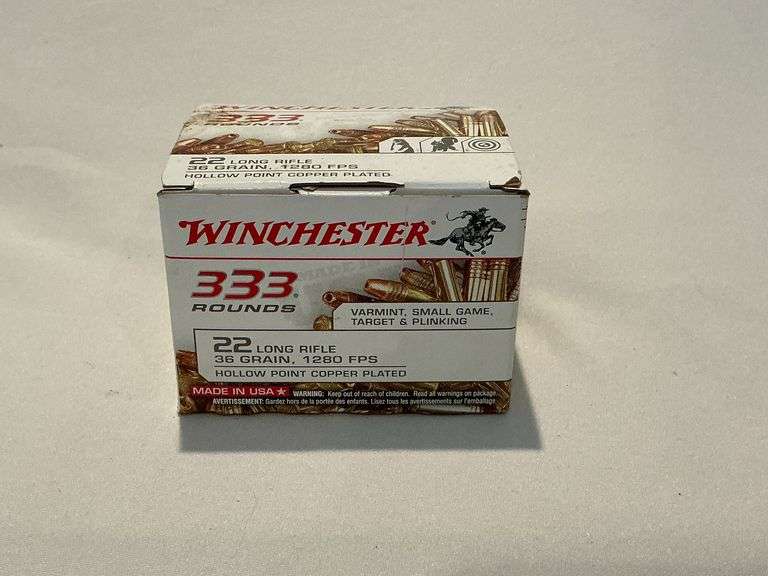 Winchester .22LR hollow point image