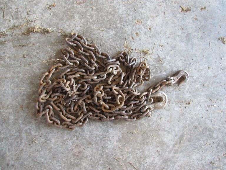 5/16" log chain, 20' L image