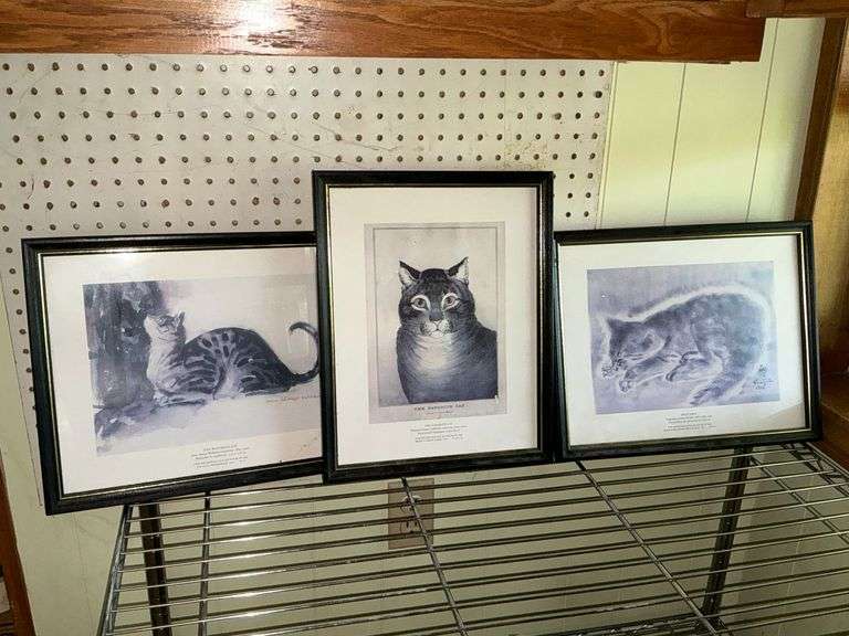 Framed cat prints image