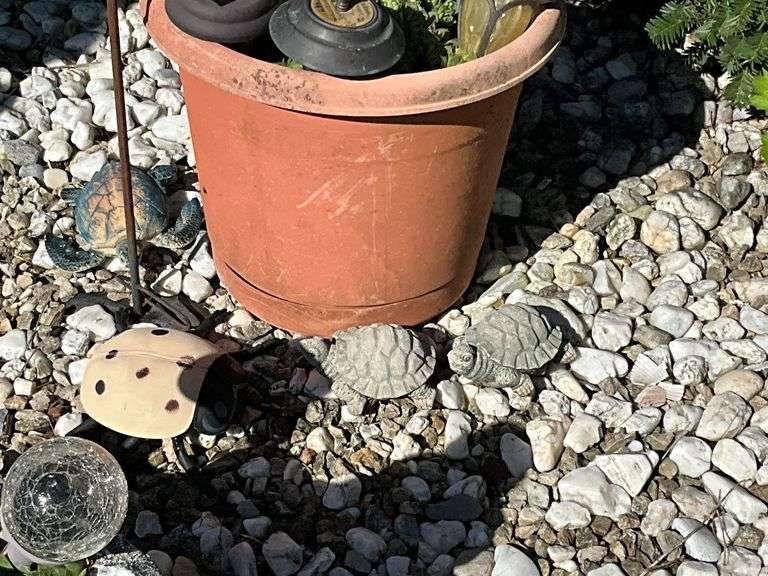 Yard art, turtles, hen/chicks