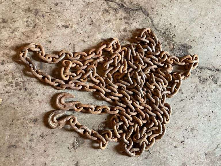 3/8" chain, 20' L image