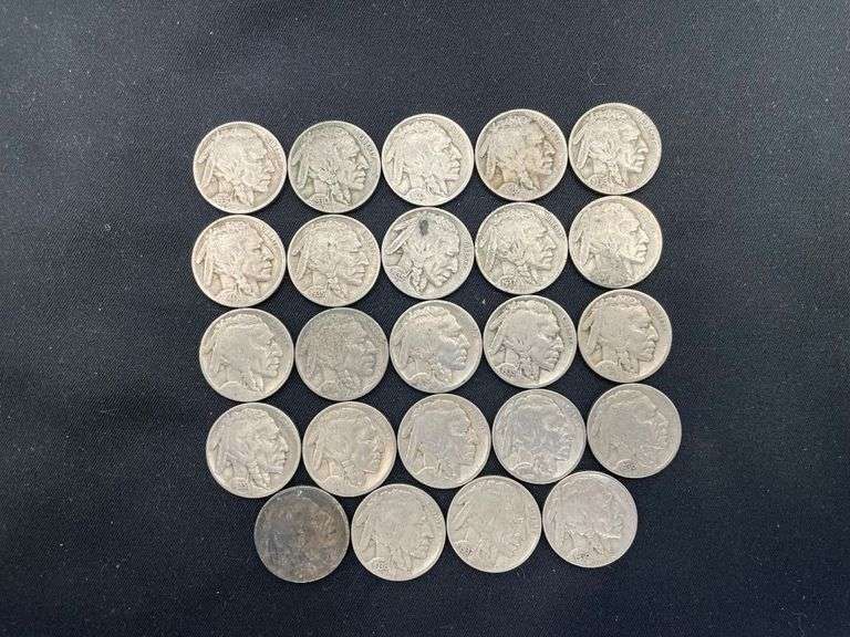 Lot of 24 Buffalo Nickels image