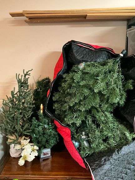 Christmas trees image