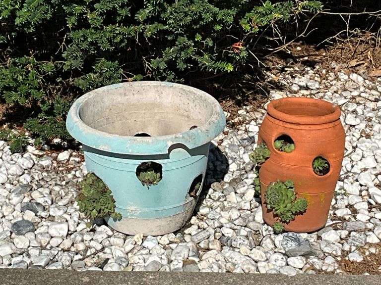 Hen and chick planters image