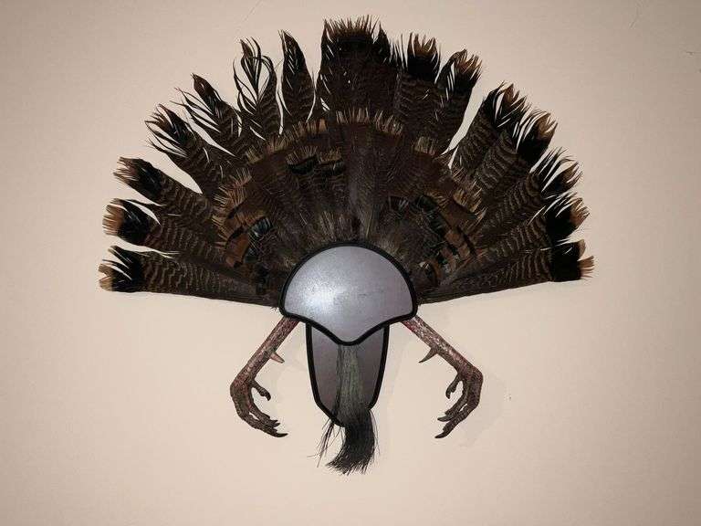 Turkey fan mounted on board with beard and feet image