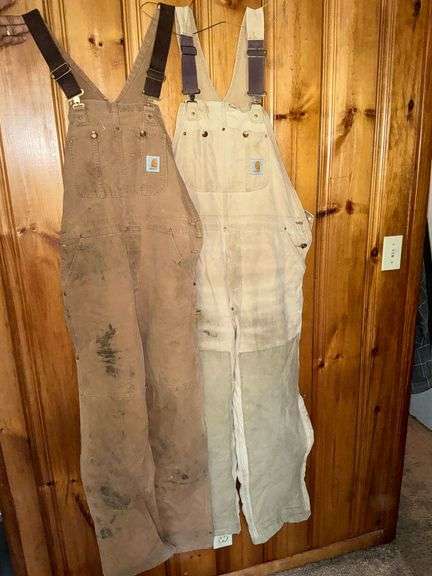 Carhartt insulated overalls image