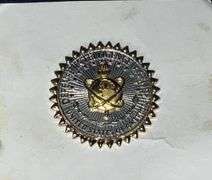 USA Defense Intelligence Agency pin