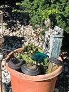 Yard art, turtles, hen/chicks