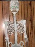 Fall and Halloween decorations