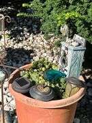 Yard art, turtles, hen/chicks