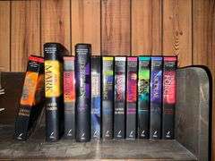 LeHaye Jenkins books