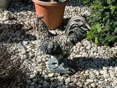 Concrete rooster, 20" T