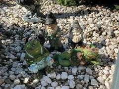 Frogs and gnomes