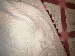 Embroidered quilt, some fading, hand quilted
