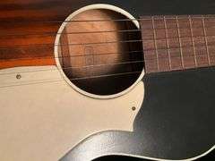 Stella Harmony guitar with case