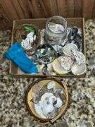 Assortment of seashells