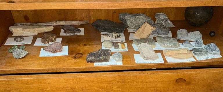 Rock collection, petrified wood, Idaho, etc. image