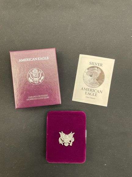 1993 Silver American Eagle image