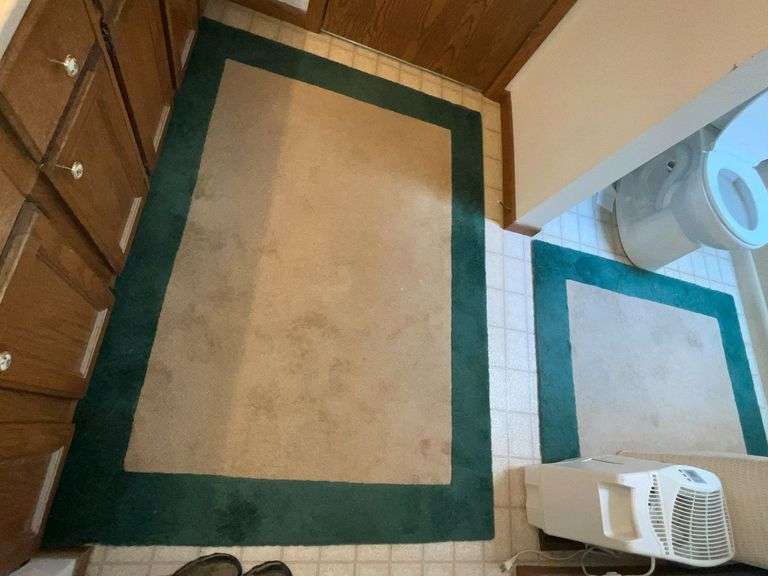 Pair of area rugs image