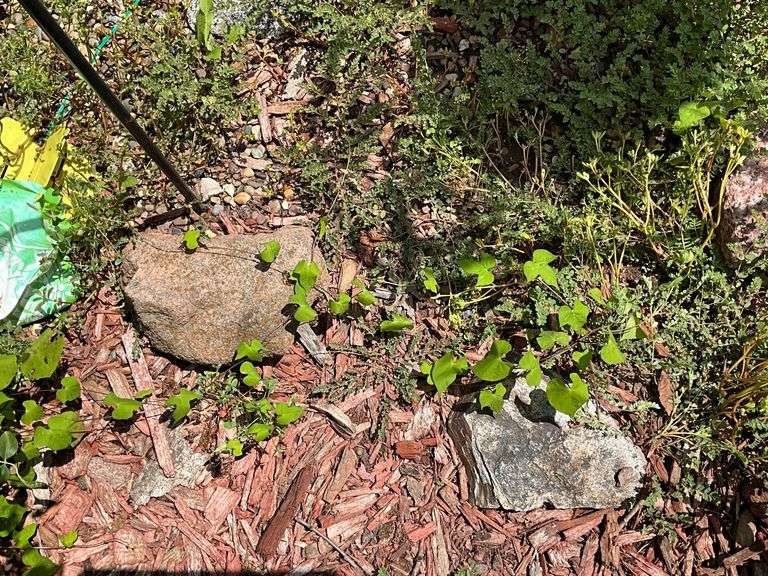 Assortment of garden stones image