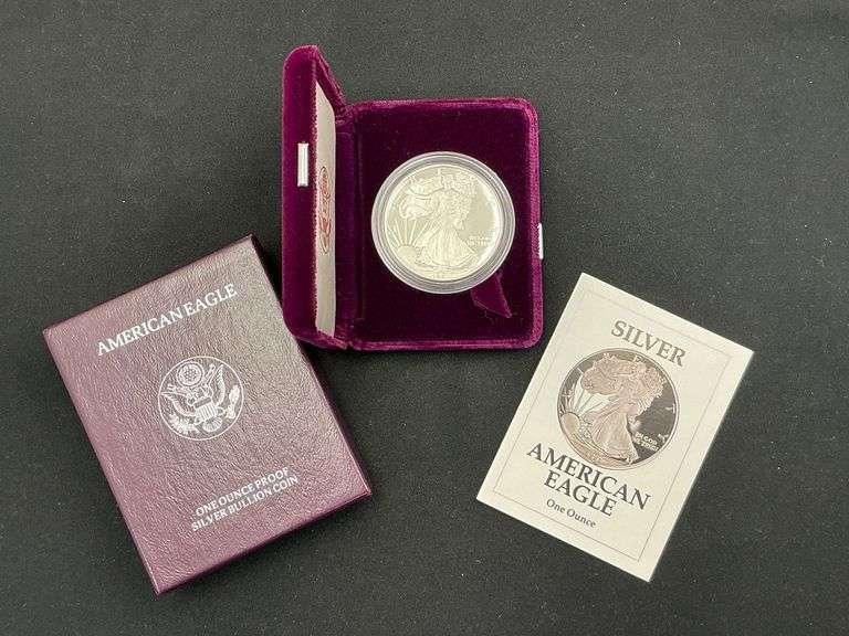 1991 Silver American Eagle image