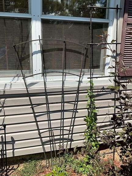 Pair of trellis image