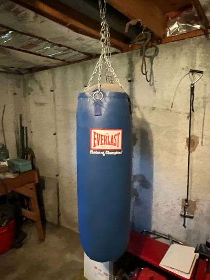 Everlast punching bag image