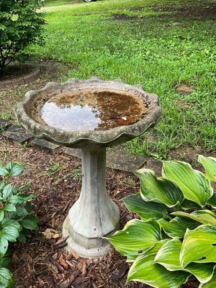 2-piece concrete bird bath image