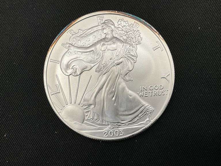2003 Silver American Eagle Dollar image