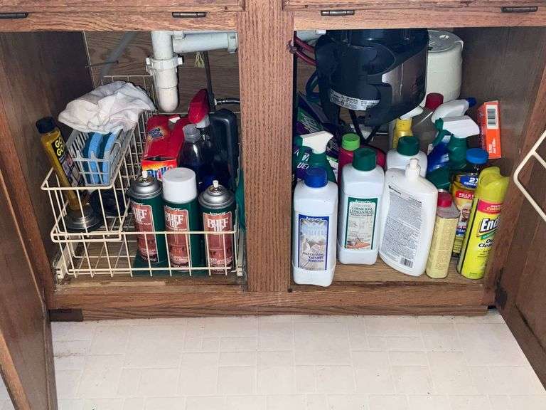 Cleaning supplies image