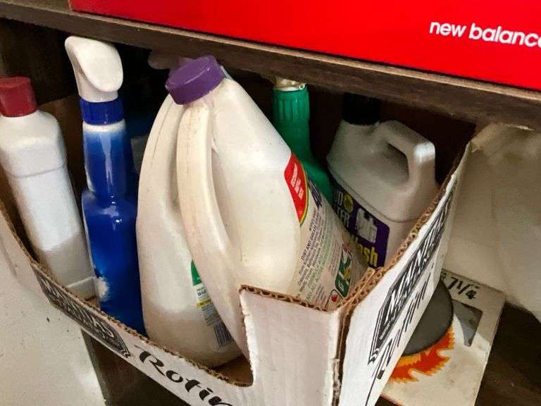 Assortment of household chemicals, drop cloths image