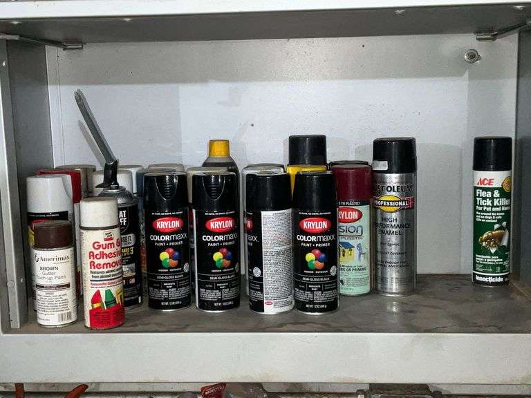 Assorted spray paint image