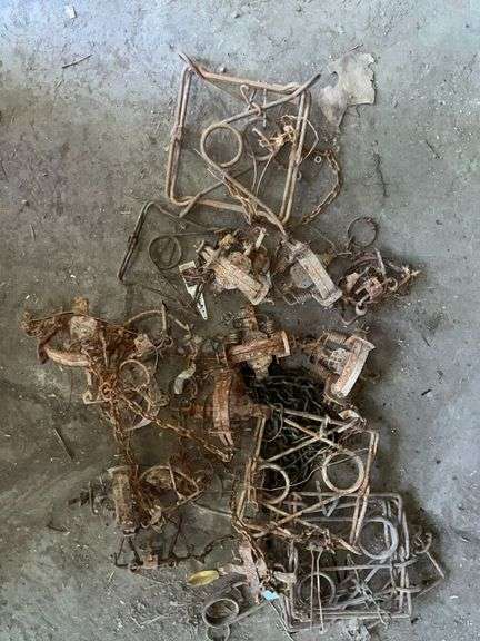 Assorted animal traps image