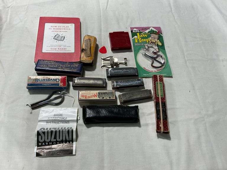 How to Play Harmonica and Other Life Lessons book, assorted harmonicas image