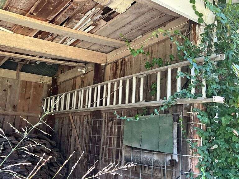 32' Aluminum extension ladder, light duty image