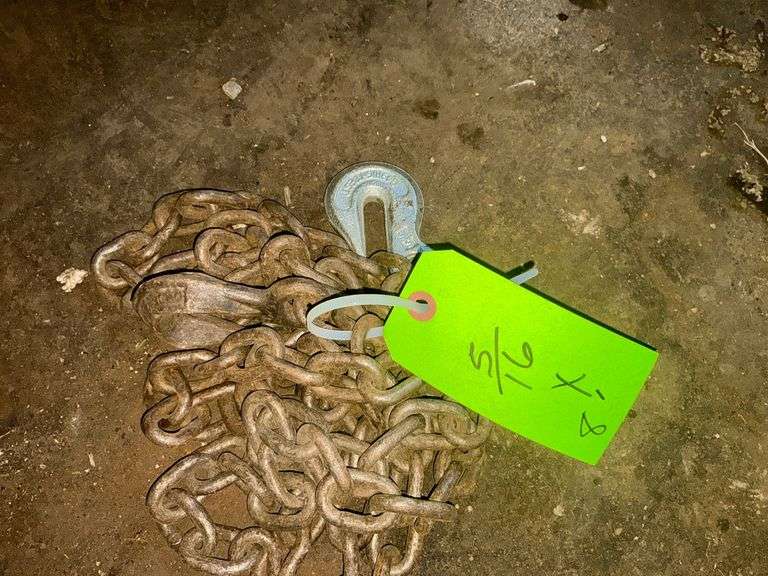 5/16" x 8' log chain with 2 hooks image