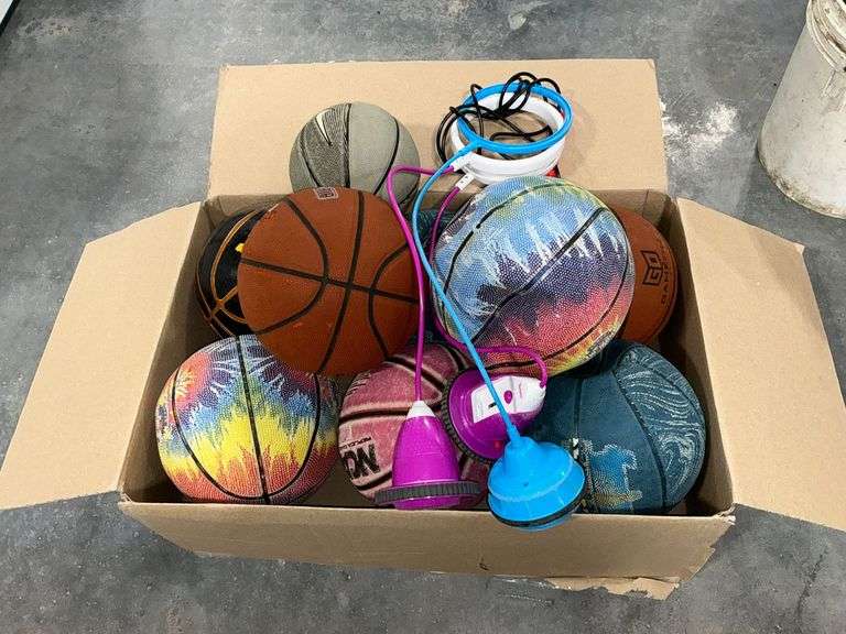 Basketballs and 3 hop scotch toys image