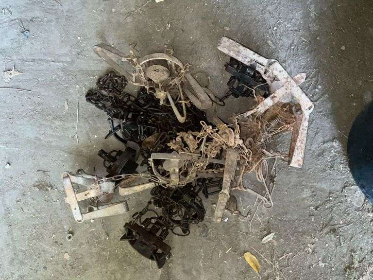Assorted animal traps image