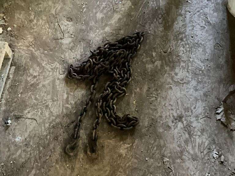 1/2" log chain, 16' L hooks on both ends image