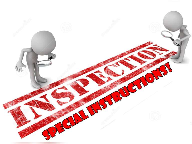 INSPECTION INFORMATION