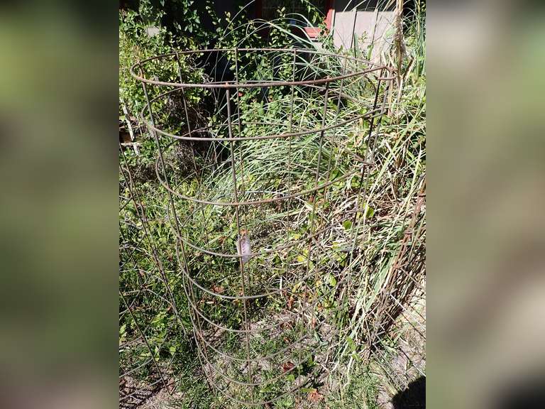 Large Heavy Duty Metal Tomato Cage image