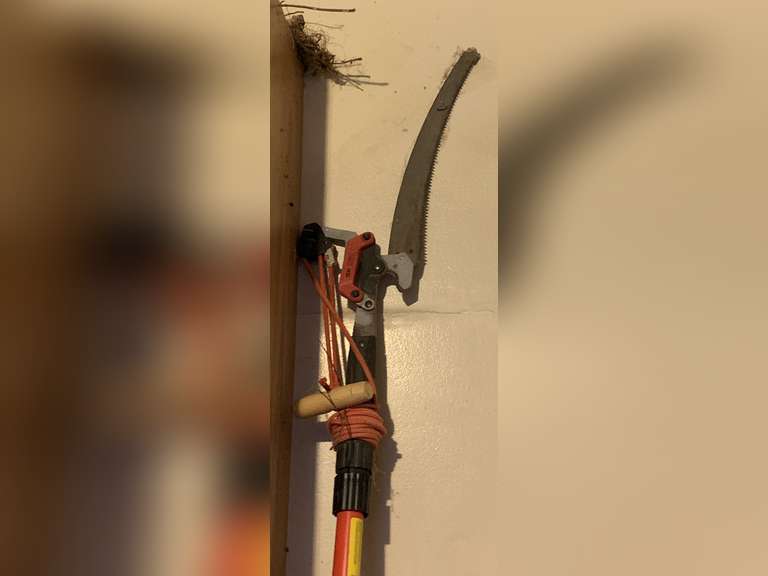 CORONA POLE SAW - GARAGE image