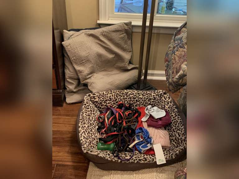 PET LOT TO INCLUDE 3 PET BEDS, ASSORTMENT LEASHES & MORE - DEN image