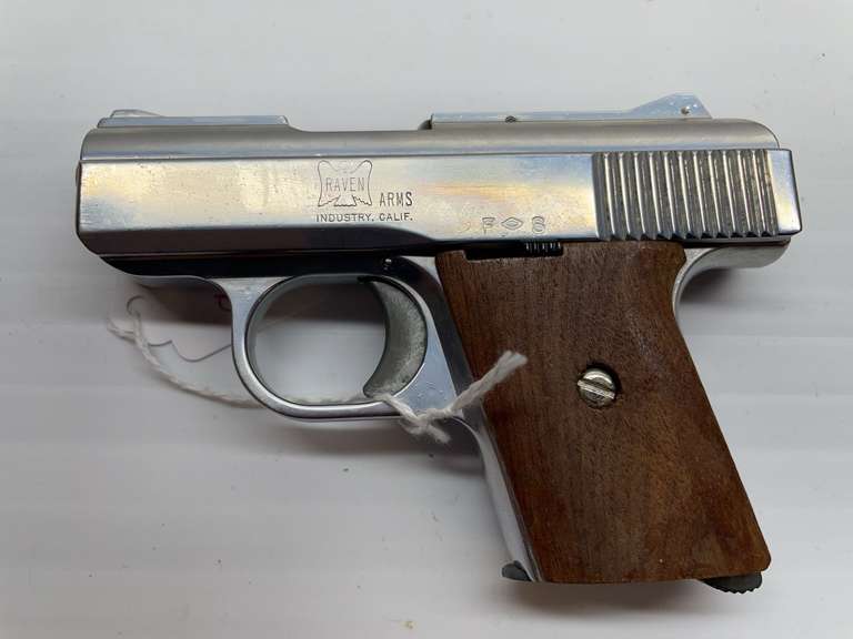 RAVEN ARMS  25 AUTO  MP-25  655053  PISTOL image