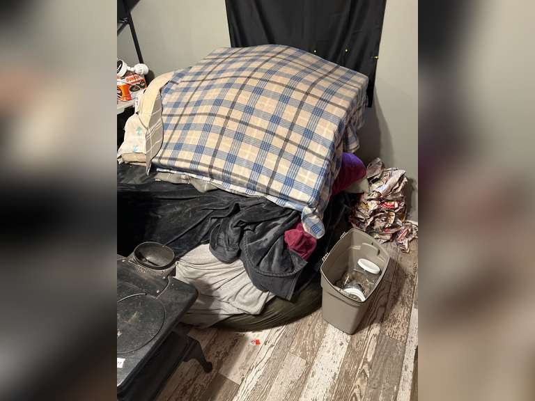 Dog bedding lot to include blankets, pillows image