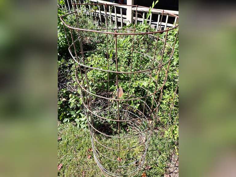 Large Heavy Duty Metal Tomato Cage image