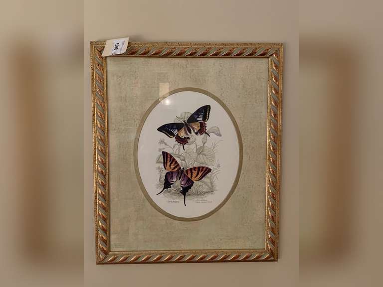 ANTIQUE NICELY DOUBLE MATTED/FRAMED BUTTERFLY PRINT 16" X 19" - LIVING ROOM image