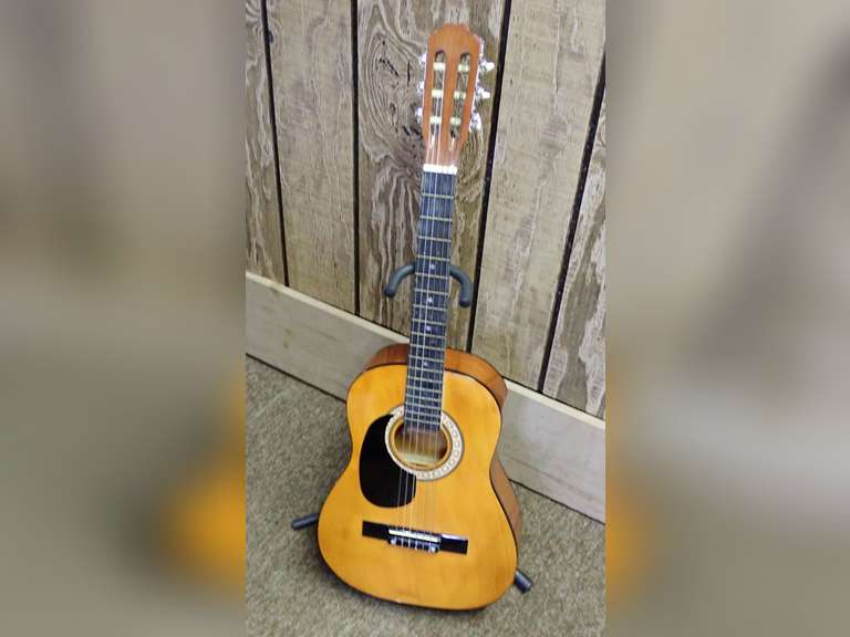 Acoustic Guitar with Case image